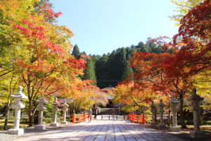 2024年10月11月発大阪発　天空のパワースポット 世界遺産の高野山へ案内人付きで巡る奥の院　日帰りバスの旅