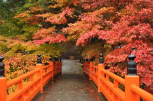 2024年11月大阪発 燃えるような紅葉が境内を包む養父神社と円通寺の紅葉観賞 日帰りバスの旅