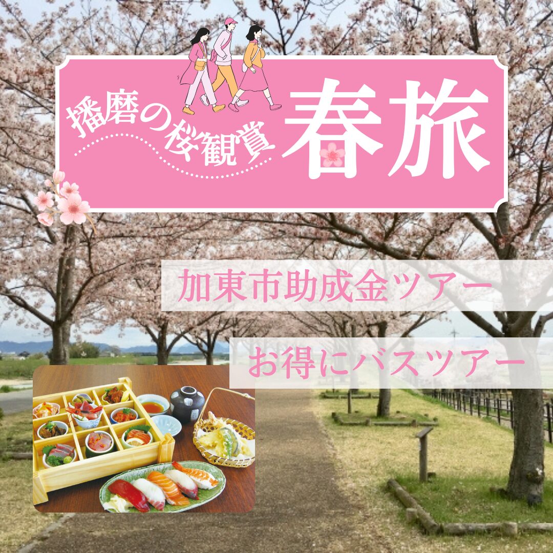 ピンク　白　観光　桜　春　旅行　日帰り　Instagramの投稿　正方形