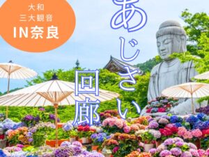 個人では行きにくい！大和三大観音 あじさい回廊と料理旅館で冷やしそうめんのご昼食