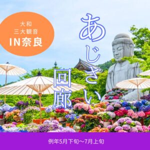 個人では行きにくい！大和三大観音 あじさい回廊と料理旅館で冷やしそうめんのご昼食