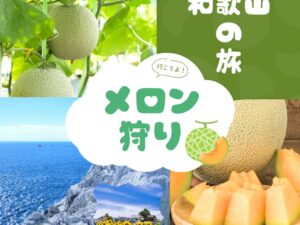 和歌山あま～いマスクメロン狩りと日本のエーゲ海白崎海洋公園と湯浅醤油工場見学