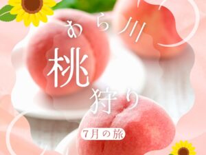 和歌山 あら川の桃狩り2玉と桃ゼリーのお持ち帰りと白崎海洋公園ひまわりの観賞