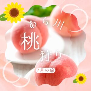 和歌山 あら川の桃狩り2玉と桃ゼリーのお持ち帰りと白崎海洋公園ひまわりの観賞