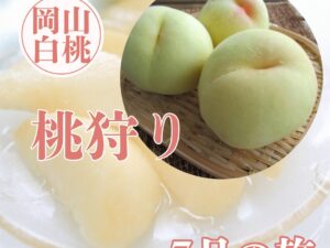 毎年恒例！湯けむりと桃香る美作の休日　湯郷温泉と白桃２玉（1玉ご賞味１玉お土産）