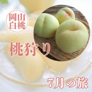 毎年恒例！湯けむりと桃香る美作の休日　湯郷温泉と白桃２玉（1玉ご賞味１玉お土産）