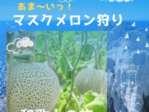 和歌山あま～いマスクメロン狩りと日本のエーゲ海白崎海洋公園と湯浅醤油工場見学