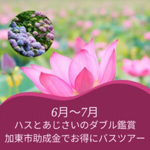 【助成金ツアー】極楽浄土平池公園のハス観賞と西林寺都麻乃郷あじさい園