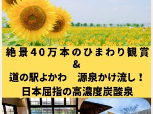 源泉かけ流し！日本屈指の高濃度炭酸泉「道の駅よかわ」と季節限定の絶景４０万本のひまわり観賞　日帰りバスの旅