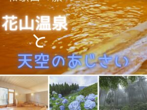 涼を感じる標高1040m天空のアジサイ園と癒しの花山温泉 日帰りバスの旅