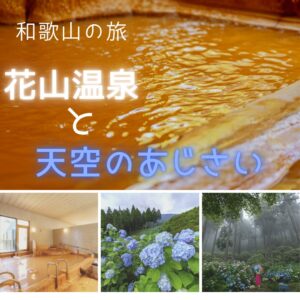 涼を感じる標高1040m天空のアジサイ園と癒しの花山温泉 日帰りバスの旅