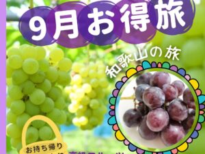 有名な有田巨峰村 森園でシャインマスカット狩りと冷え冷え巨峰を1房食す