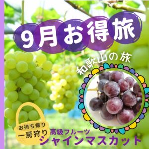 有名な有田巨峰村 森園でシャインマスカット狩りと冷え冷え巨峰を1房食す
