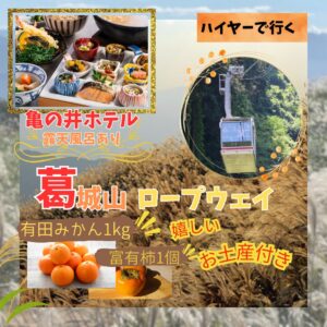 【ハイヤーで行く】葛城山ロープウェイ ススキ観賞と日帰り温泉に目の御利益の瀧谷不動へ 早期お申込み特典：有田みかんと富有柿のお土産🍊