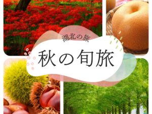秋を楽しむ栗拾い（1kgお持ち帰り）とメタセコイア並木に湖に浮かぶ鳥居 白髭神社【早期お申込みで梨2個のお土産付】