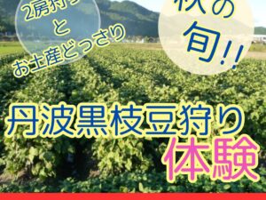 丹波味覚大秋穫祭！松茸づくし御膳と毎年恒例の丹波黒枝豆収穫体験2房付にお土産どっさり旅