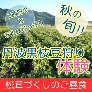 丹波味覚大秋穫祭！松茸づくし御膳と毎年恒例の丹波黒枝豆収穫体験2房付にお土産どっさり旅