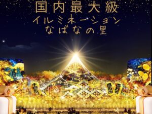 午後出発【ハイヤー(ジャンボタクシー)で行く】国内最大級✨なばなの里イルミネーション&人気のベゴニアガーデン観賞✨日帰りの旅