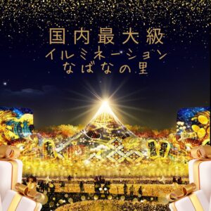 午後出発【ハイヤー(ジャンボタクシー）で行く】国内最大級✨なばなの里イルミネーション&人気のベゴニアガーデン観賞✨日帰りの旅