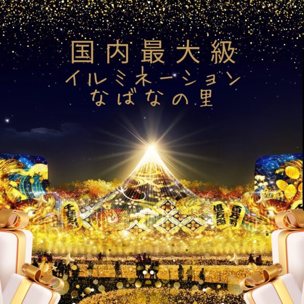午後出発【ハイヤー(ジャンボタクシー）で行く】国内最大級✨なばなの里イルミネーション&人気のベゴニアガーデン観賞✨日帰りの旅