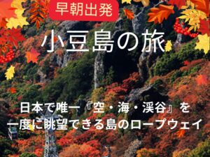 【ハイヤー(ジャンボタクシー）で行く】小豆島 日本三大渓谷の１つ寒霞渓へ　日帰り旅