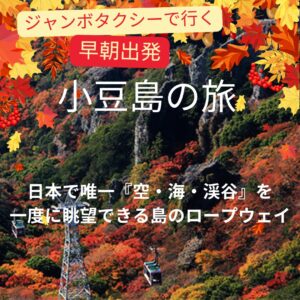 【ハイヤー(ジャンボタクシー）で行く】小豆島 日本三大渓谷の１つ寒霞渓へ　日帰り旅