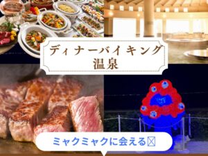 こんな日帰りあったらいいな第二弾💛かなりお得な午後出発のディーナバイキング&温泉の旅