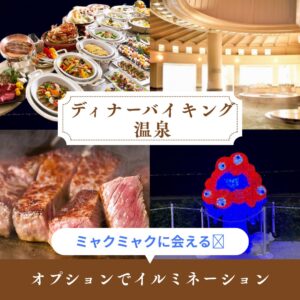 こんな日帰りあったらいいな第二弾💛かなりお得な午後出発のディーナバイキング&温泉の旅