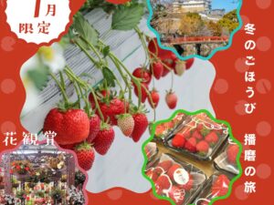 2026年いちご初獲り🍓食べ放題に大温室で花鑑賞&国宝姫路城自由散策 播磨の欲張り旅