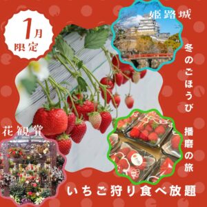 2026年いちご初獲り🍓食べ放題に大温室で花鑑賞&国宝姫路城自由散策 播磨の欲張り旅
