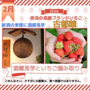 【2026年2月】河内長野で酒蔵見学＆酒蔵の食事処でご昼食と奈良高級ブランドいちご古都華の摘み取り体験