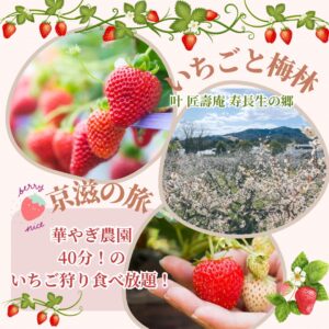 【2026年2月】春の足元が聞こえる♪いちご狩り食べ放題と梅林観賞 日帰りバスの旅