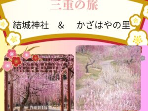 【2026年2月3月】これは見事！結城神社のしだれ梅とかざはやの里　香る梅の花ダブル観賞 日帰りバスの旅