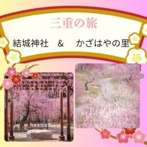 【2026年2月3月】これは見事！結城神社のしだれ梅とかざはやの里　香る梅の花ダブル観賞 日帰りバスの旅