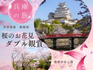 【2026年4月】世界遺産姫路城と播磨中央公園サクラのダブル観賞 日帰りバスの旅★助成金ツアー★