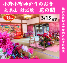 【2026年3月】ヒルトン京都でランチビュッフェと隨心院 豪華絢爛の花の間観賞 小野梅園散策 日帰りの旅