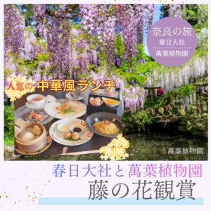 【2026年4月】藤の名所 春日大社と萬葉植物園 藤の花観賞と人気の中華風ランチ 藤色に染まる奈良の旅