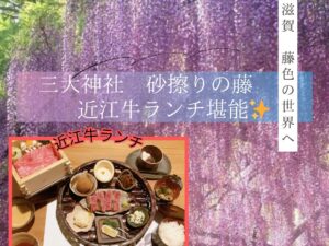 【2026年4月】三大神社砂ずりの藤と道の駅アグリパーク竜王散策に近江牛ランチ堪能 滋賀の旅