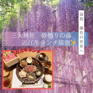 【2026年4月】三大神社砂ずりの藤と道の駅アグリパーク竜王散策に近江牛ランチ堪能 滋賀の旅